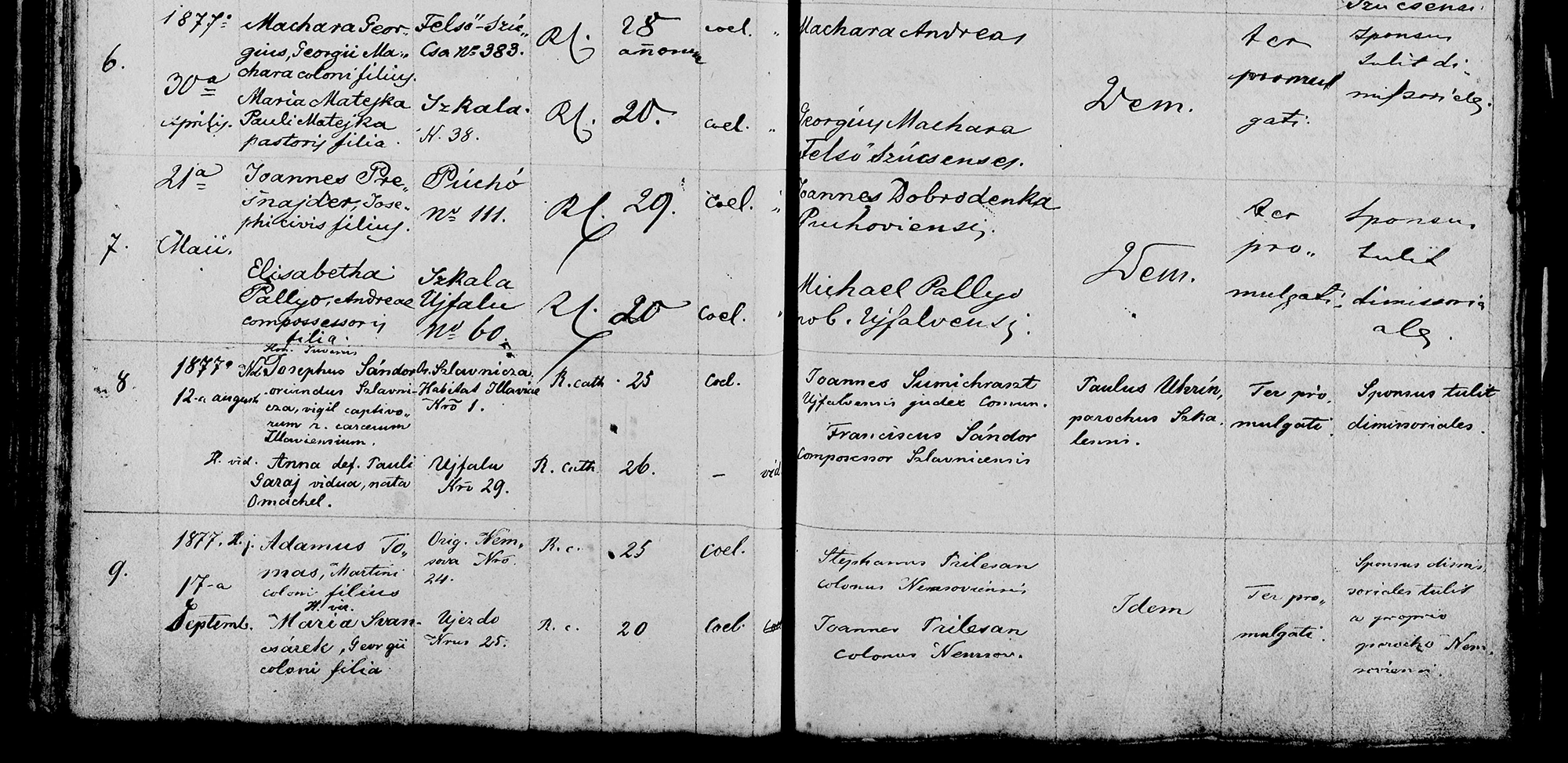 Takto vyzeraj&uacute; zdigitalizovan&eacute; matričn&eacute; z&aacute;znamy. V tejto matrike sme na&scaron;li sob&aacute;&scaron;ny z&aacute;znam Jozefa &Scaron;&aacute;ndora a Anny Omachelovej z 12.8.1877.