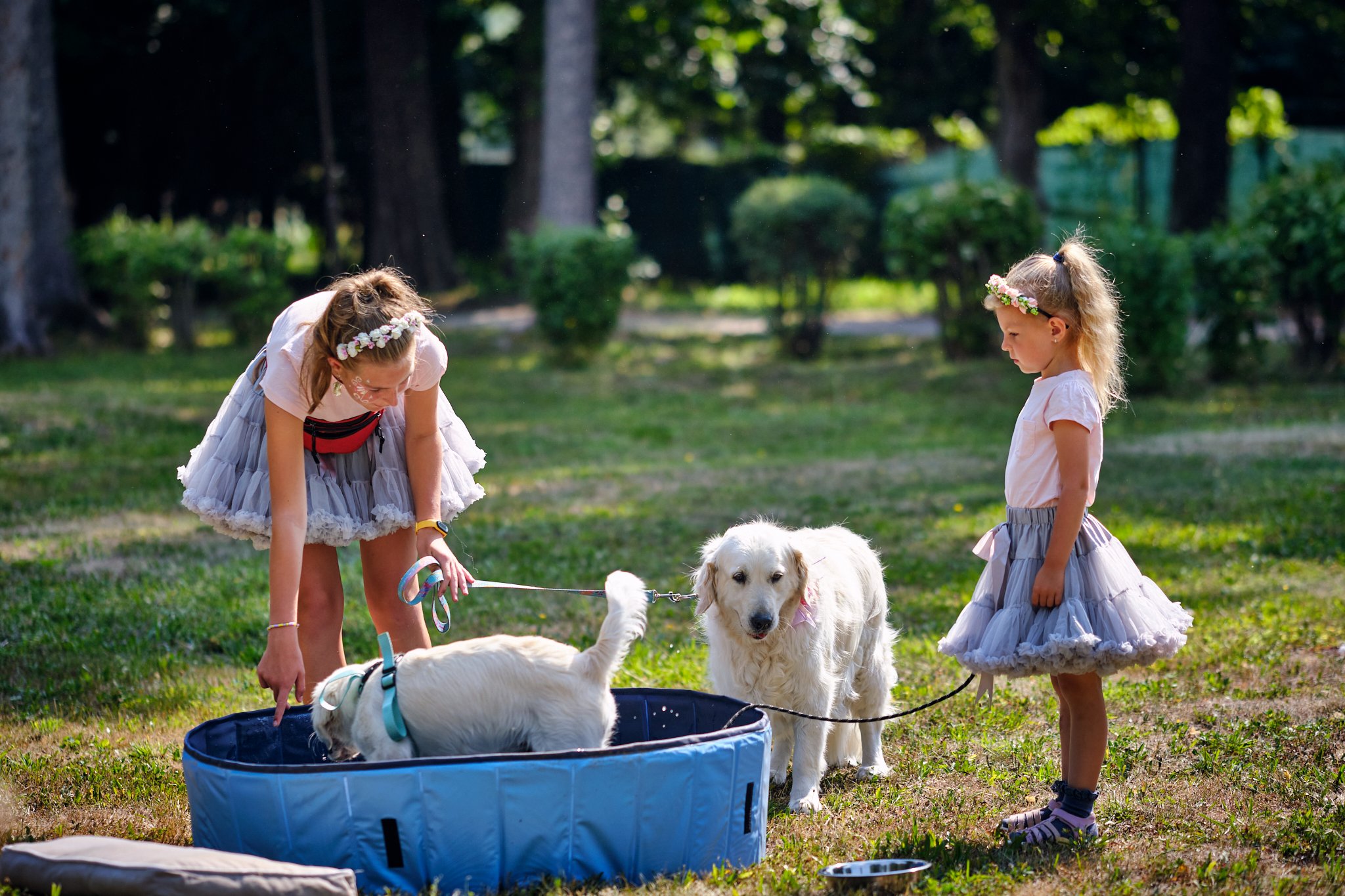 Milovníci psov sa stretli na nultom ročníku Dogfestu