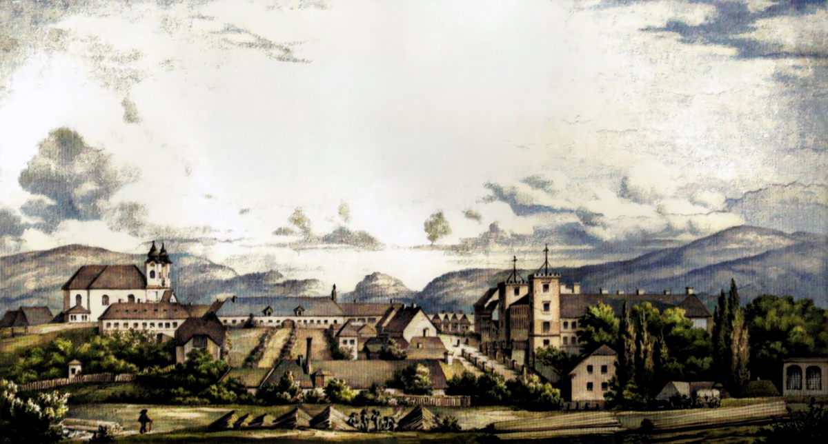 História mesta Žiar nad Hronom: Pohľad na mesto v roku 1861