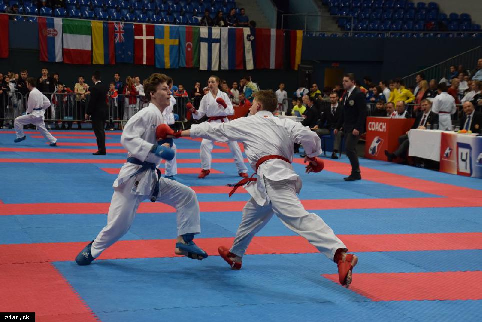 Grand Prix Slovakia v karate