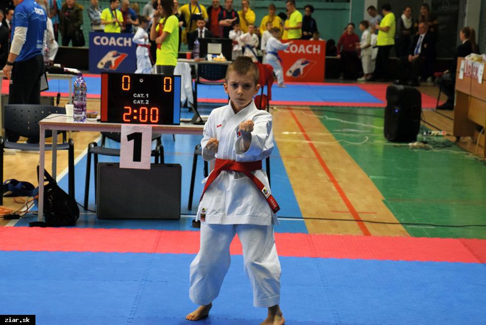 Karate: Šipkovský so striebrom z austrálskeho Sydney