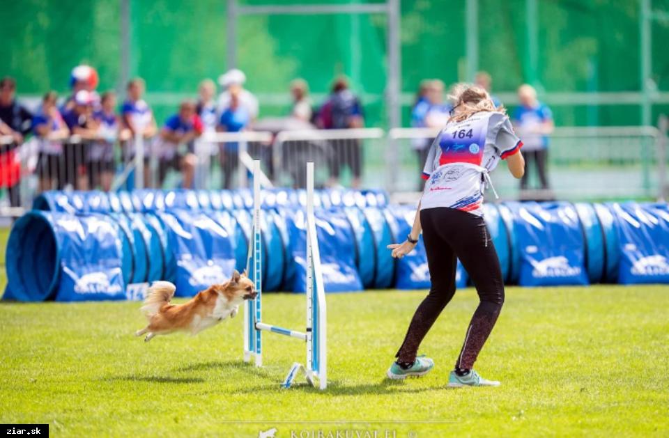 obr: Žiarčanka Lenka reprezentovala Slovensko na Majstrovstvách sveta juniorov v agility