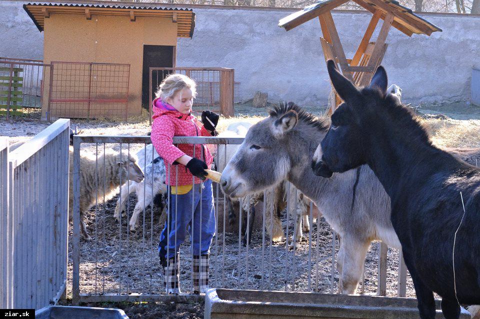 Minizoo sa počas zimy rozrástla! Ďalšie prírastky čakajú už na jar