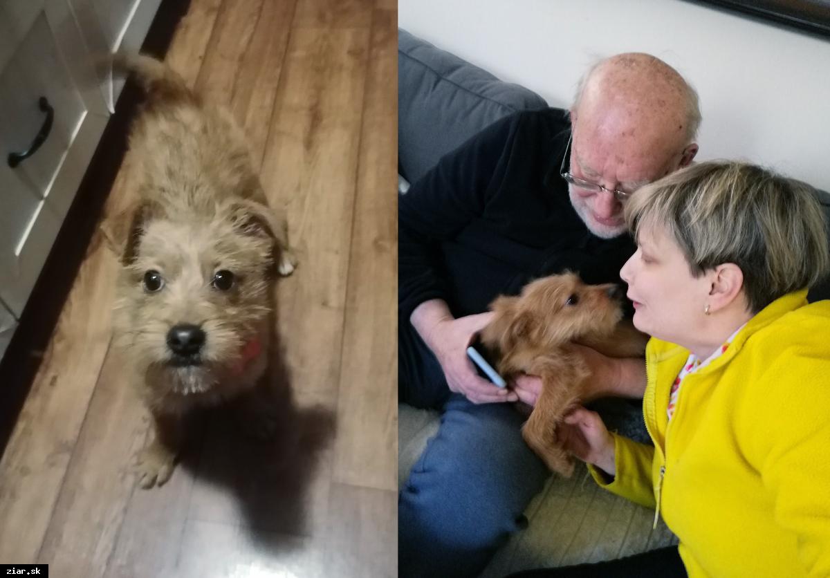 Šteniatko z nášho útulku našlo domov v rodine Honzu Nedvěda
