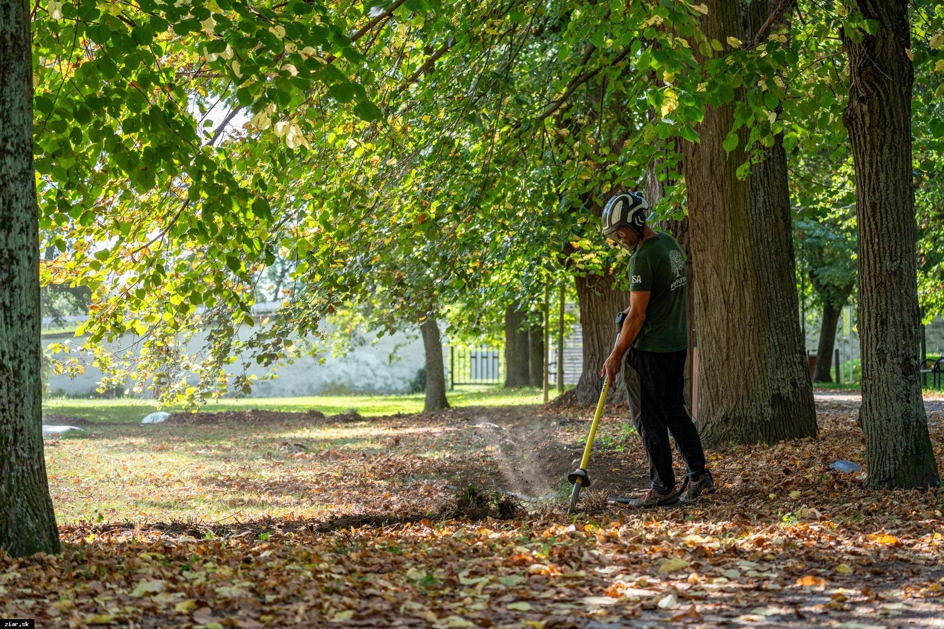 V Parku Š. Moysesa pokračujeme v revitalizácii