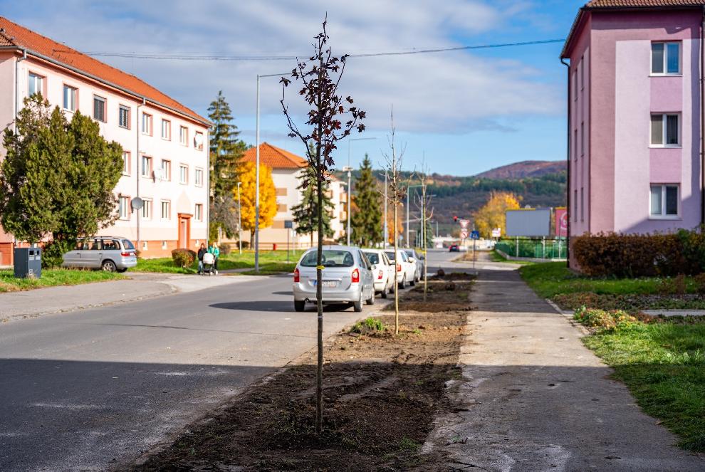 V meste pribudla nová alej, vykonáva sa aj pravidelná údržba zelene