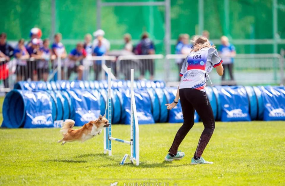 Žiarčanka Lenka reprezentovala Slovensko na Majstrovstvách sveta juniorov v agility