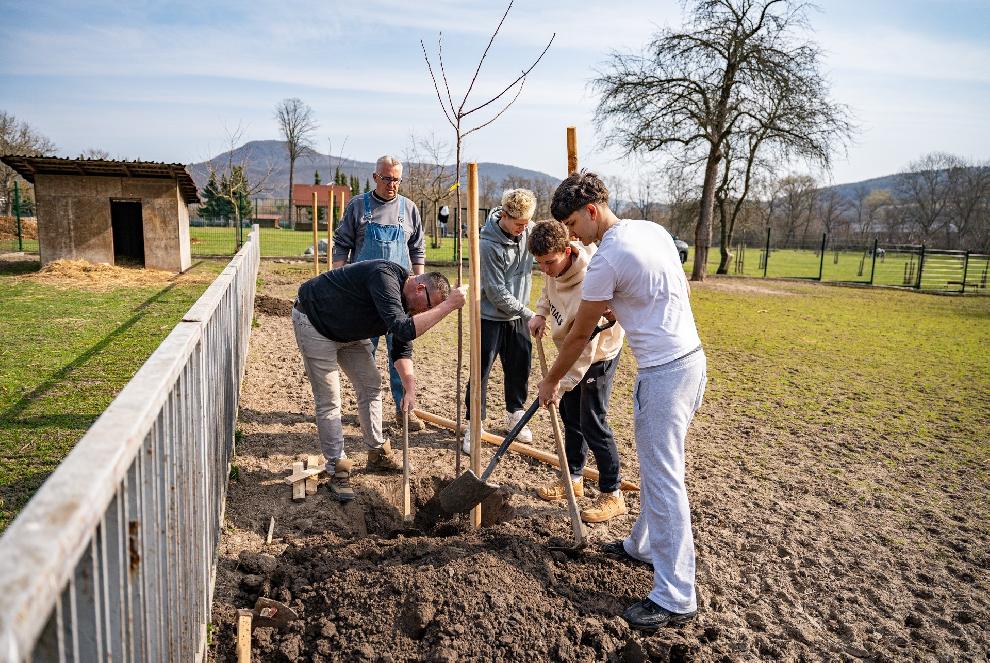 Park je o niečo viac zelenší, nové stromy pribudli v minizoo aj v ovocnom sade