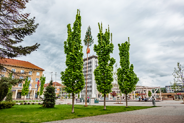 Stavanie Mája bez divákov