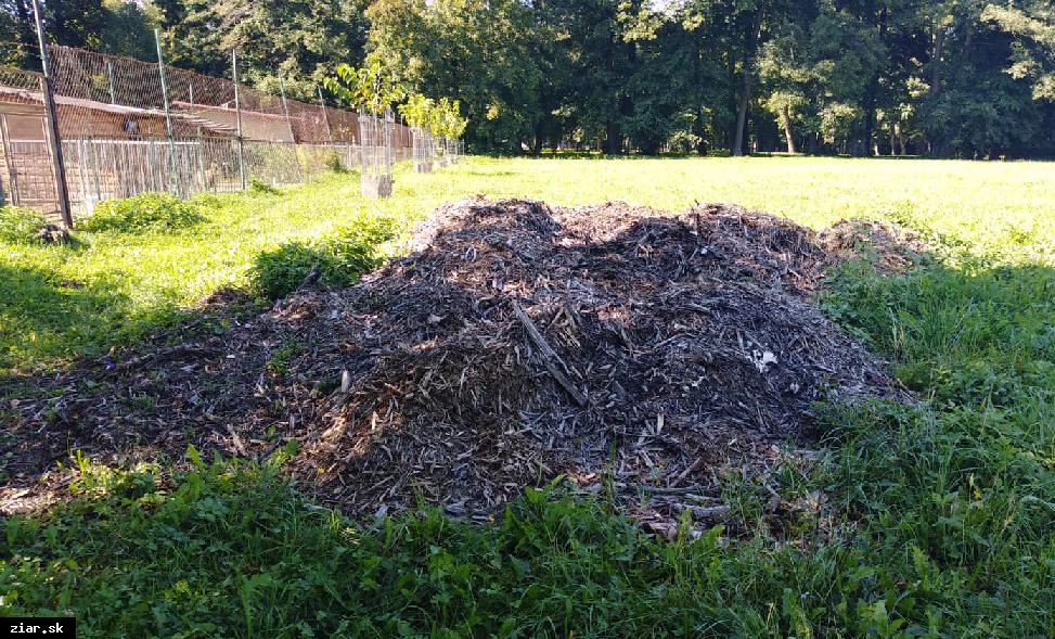 Štiepka z orezaných konárov slúži na mulčovanie ovocných stromov