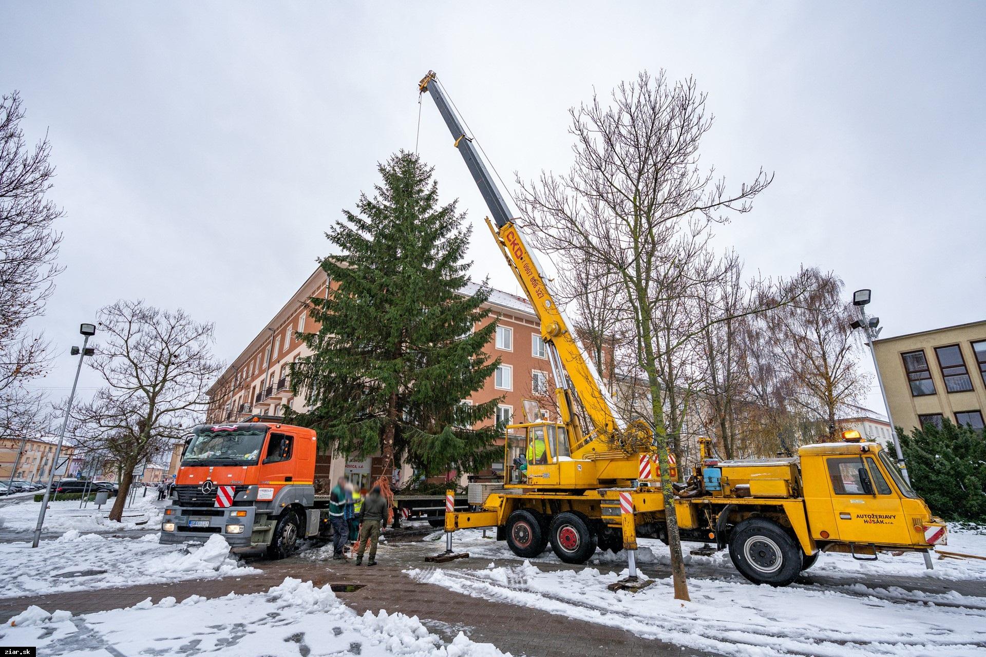 Mesto sa pripravuje na sviatky: Vianočný stromček už stojí a vieme, kedy budú vianočné trhy! 