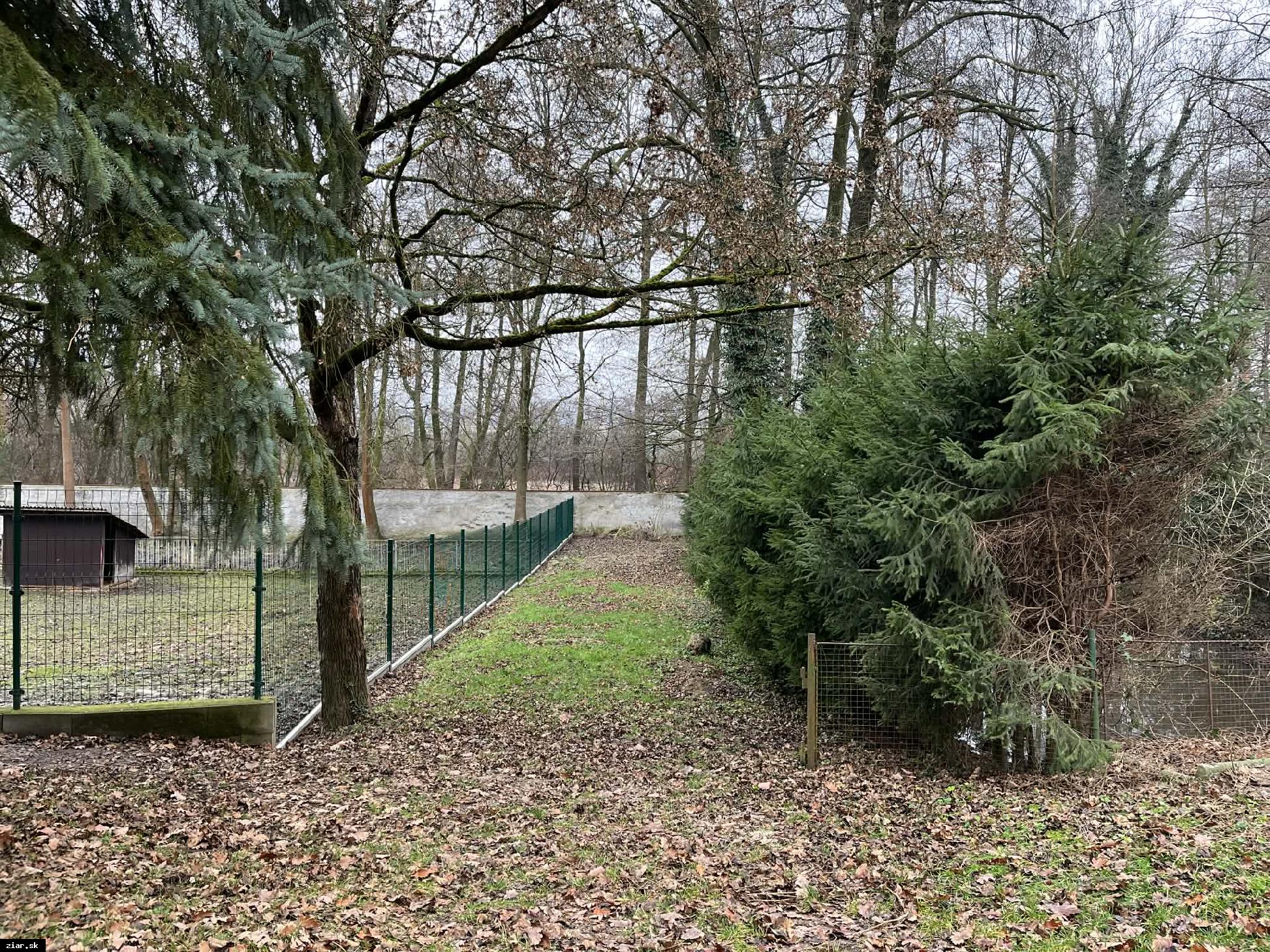 Revitalizácia Parku Štefana Moysesa pokračuje aj v zime