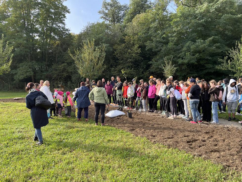 Netradičné ovocné druhy pre opeľovače, pre adaptáciu na zmenu klímy aj pre zdravie človeka v meste