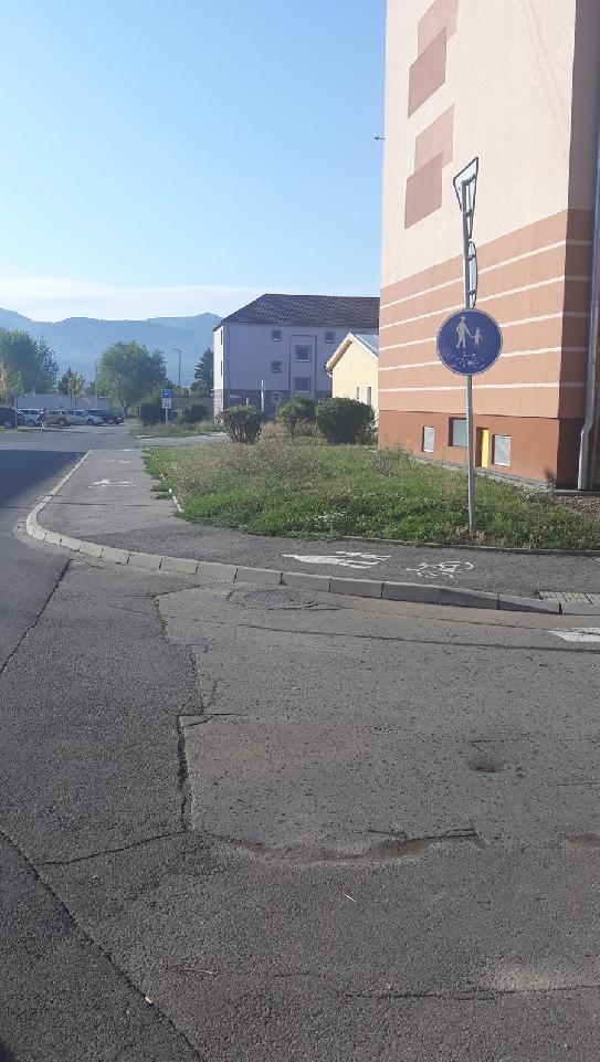 3490.jpg