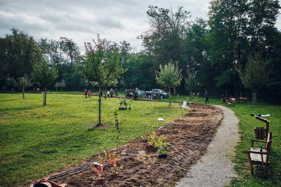 V mestskom sade sa vysadilo 300 kríkov netradičných ovocných druhov